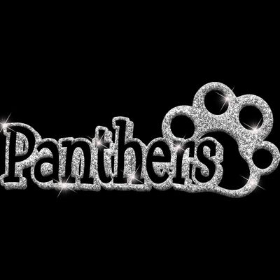 GLT17 SILVER GLITTER Thumbnail